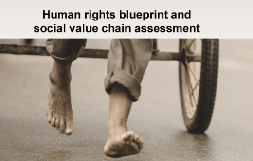 Blueprint Human Rights social value chain assessment