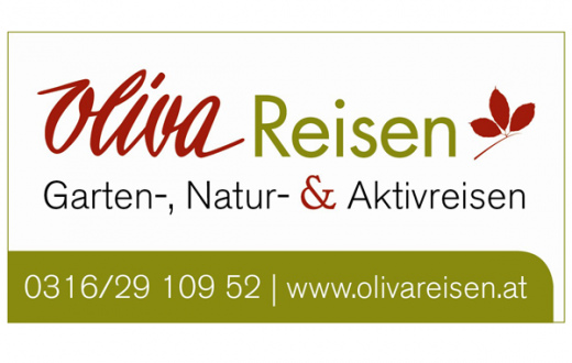 Oliva Reisen Logo 600x380